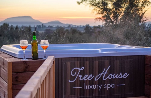 Agia Marina House | The Tree House at Zante Lagos