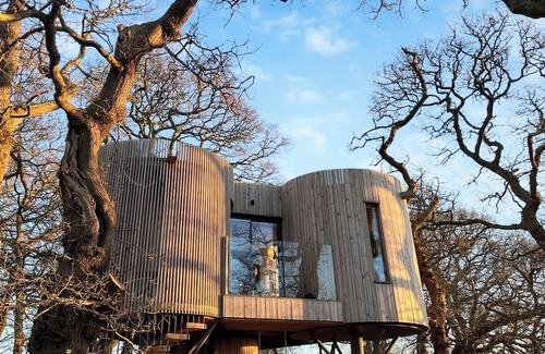 Bankend Cottage | The Treehouse @ Caerlaverock - UK45028