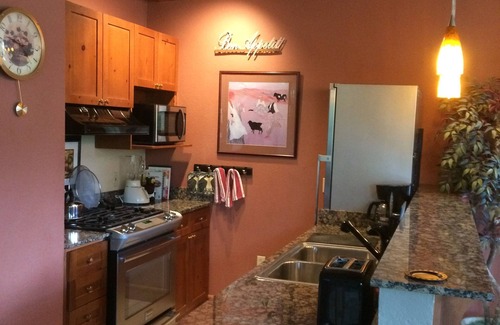 Mountain Village Condo | The Palmyra- Mountain Village Core