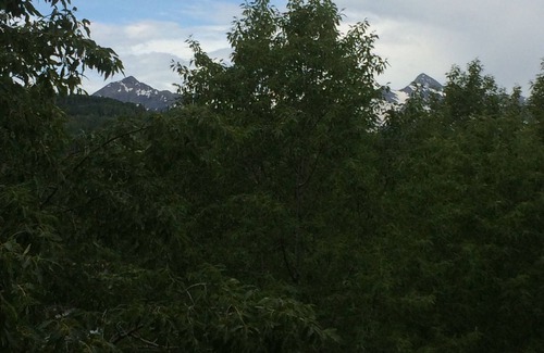 Mountain Village Condo | The Palmyra- Mountain Village Core