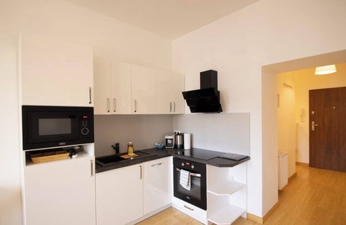 Funfhaus Apartment | The Vienna Loft | LF30