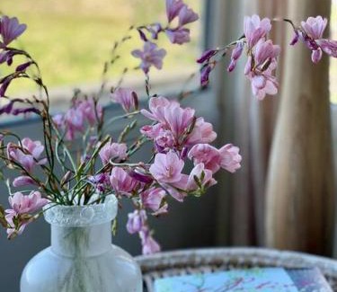 Severnlea House | The Vigneron's Cottage at Dragonfly Estate Vineyard - Stanthorpe