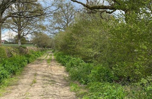 Child Okeford House | The Willows - Uk34000