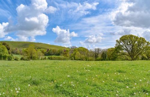 Child Okeford House | The Willows - Uk34000