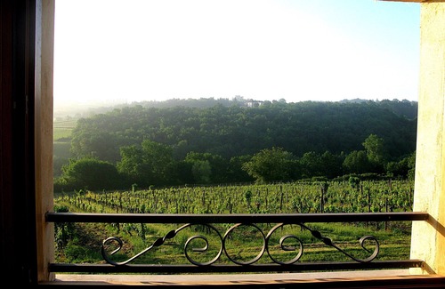 Saussignac House | The Wine Lodge, eco luxury on an organic vineyard with swimming pool