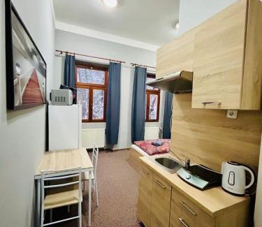 Teplice Apartment | Thermal Apartments