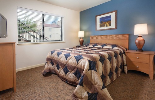 Chelan Resort | Thick evergreens cover the mountainsides!