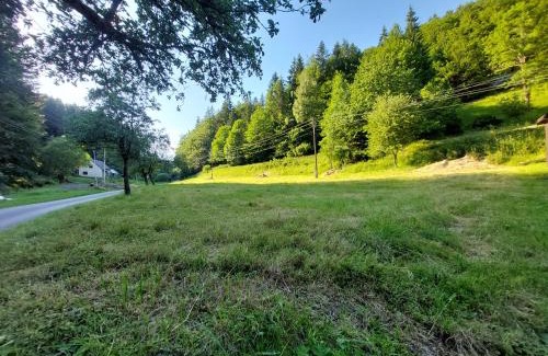 Kolarovice Other | This is only meadow