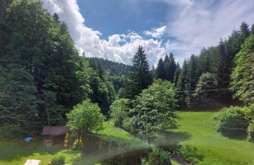 Kolarovice Other | This is only meadow
