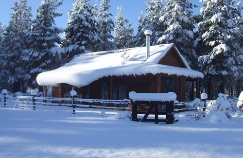 Hanmer Springs Cottage | This is the stand alone, andquot;Drive Cottageandquot; .