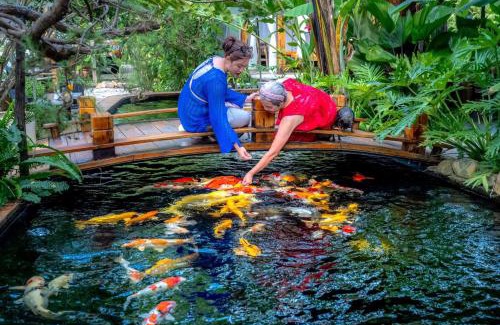 Pleiku Hotel | Tiên Sơn Pleiku Homestay