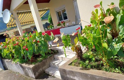 Dos d'Ane House | Ti kaz anturium