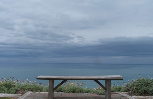 Gisborne Region Apartment | Tidal Waters LogLodge Studio
