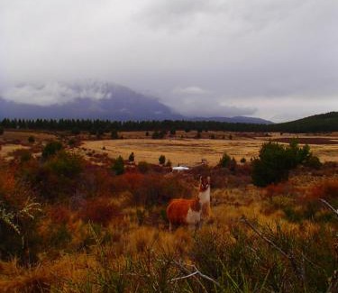 Cushamen Department Ski Chalet | Tierra de Guanacos - casa en la naturaleza