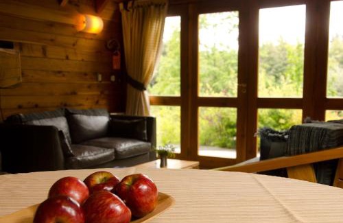 Puerto Manzano Cabin | Tillka - Casas de Montaña