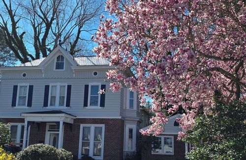 Onancock House | Timeless Elegance with Modern Luxury: Historic 6-Bedroom Home-Newly Renovated!