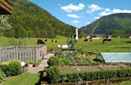 Faistenau Apartment | Tiny apartment close to Salzburg and the Salzkammergut
