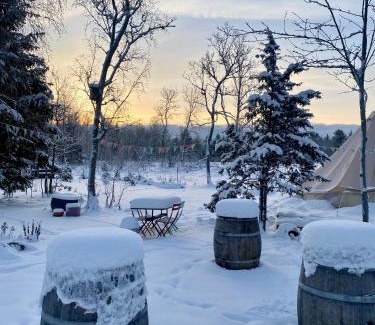 Laane-Harju Parish Cabin | Tiny Cabin in nature with finnish Sauna
