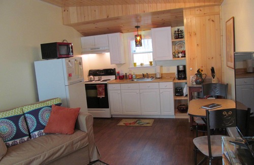 Fairview House | Tiny House, Comfy, dog friendly, 12 miles to Asheville. No cleaning or pet fees!