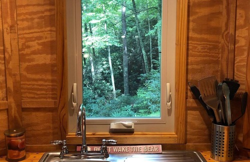 Swannanoa House | Tiny House - Private Mountainside Retreat - Pet Friendly
