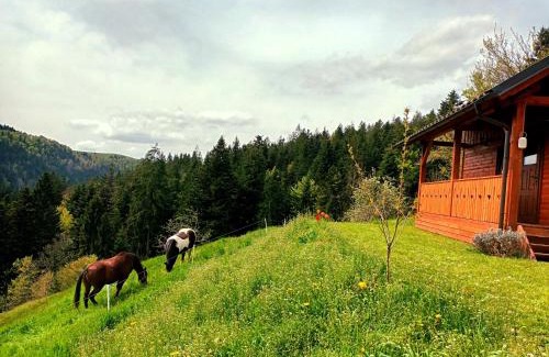 Predjama House | Tiny house