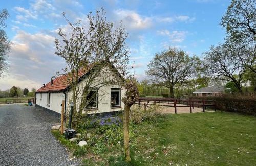 Garderen House | Tiny house Veluwse Garre