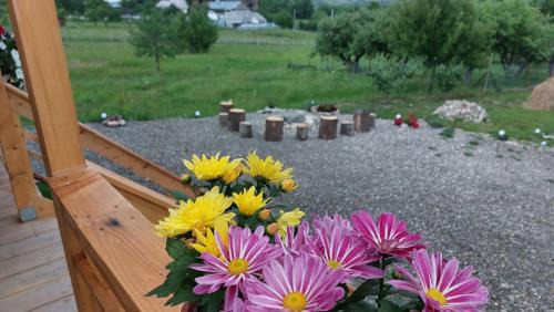 Agapia Ski Chalet | Tiny Moldovibe