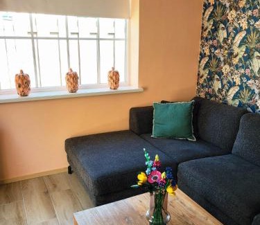 Drachten Apartment | Tinyhouse centrum Drachten