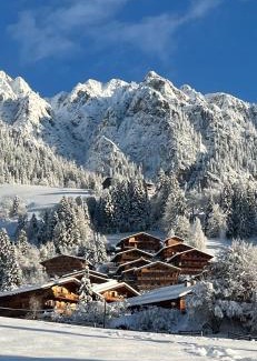 Alpbach Apartment | Tirol Juwel
