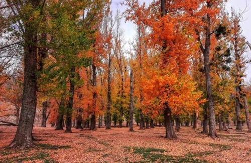 Ifrane Apartment | Tislite d azrou