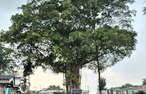 Titiwangsa House | Titiwangsa Villa . Spacious with 12 bedrooms attached bathrooms , Free Wi Fi .