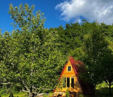 Popov Most Apartment | Tjentiste A-frame cabin