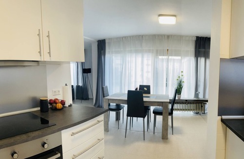 Kaiserslautern Apartment | TLA/tlf Geräumiges Voll Ausgestattetes Apartment