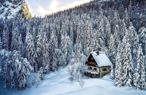Kranjska Gora House | Tonkina koča