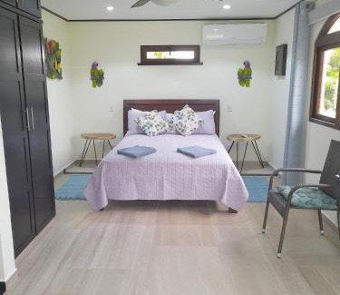 Tronadora House | TOP RATED - Lake View Arenal Suite - 2025 Traveller Awards Winner