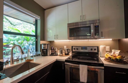 Southwest Coconut Grove House | Top-Rated Luxury Oasis! Coconut Grove Cottage, Garden, Walk to Bay. Free Parking