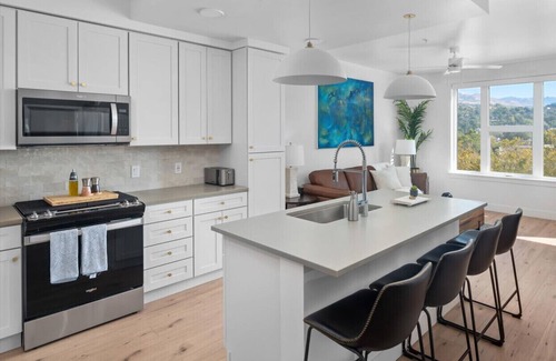 Fairpark Apartment | Top VIEWS! Capital building! Rooftop pool/gym/bowl