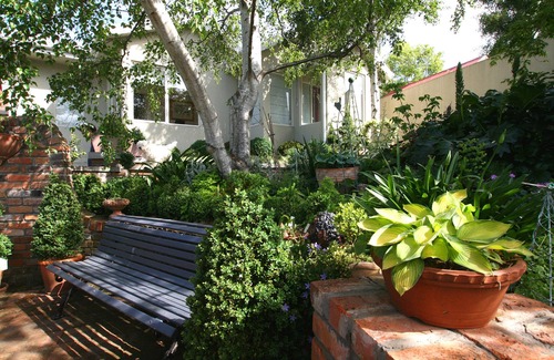 West Launceston Apartment | Topiary Haven