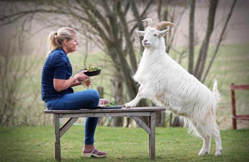 Brastad House | Toric Farmlodge