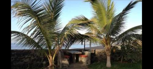 Sao Filipe House | Tortuga B&B