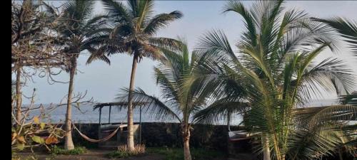 Sao Filipe House | Tortuga B&B