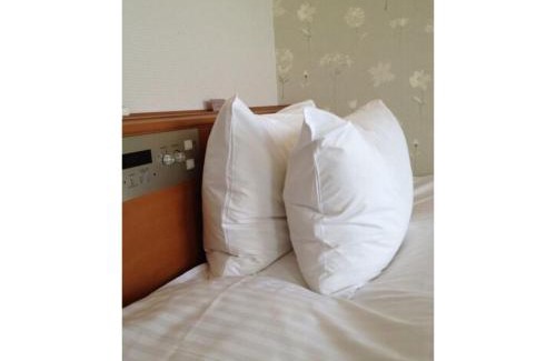 Iwai Onsen Hotel | Tottori City Hotel/Vacation STAY 81359