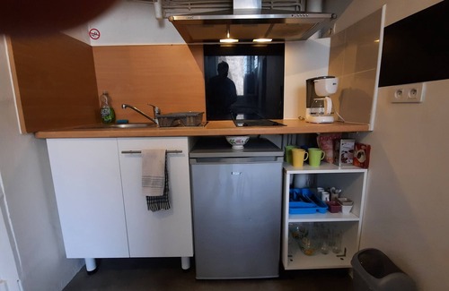 Montastruc-la-Conseillere Apartment | Toulouse 15 min 4 people apartment 3 beds kitchen shower clean