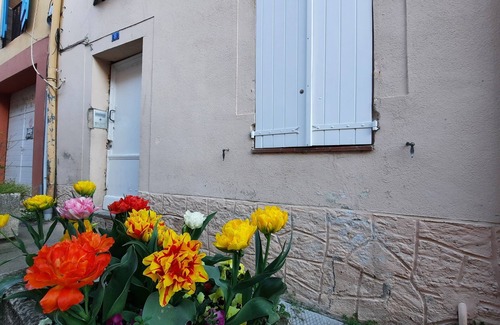 Montastruc-la-Conseillere Apartment | Toulouse 15 min 4 people apartment 3 beds kitchen shower clean