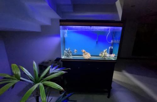 Santa Cruz House | Tourist House
