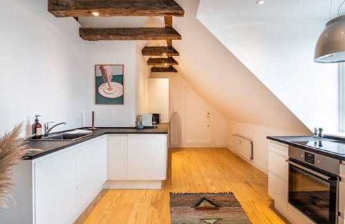 Copenhagen City Centre Apartment | Town Hall penthouse by Daniel & Jacob's