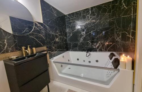 Tours Apartment | Très belle dépendance relaxante totalement indépendante