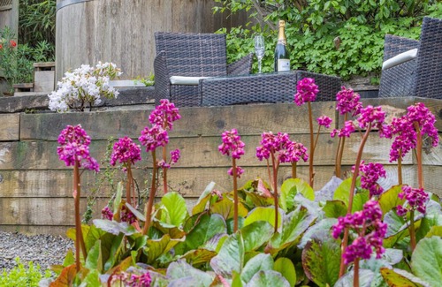 Felindre House | Tractor shed - Two Bedroom House, Sleeps 4