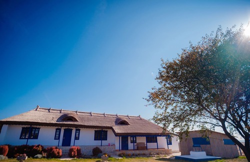 Tulcea County House | Traditional house with one bedroom apartment/fireplace and porch.