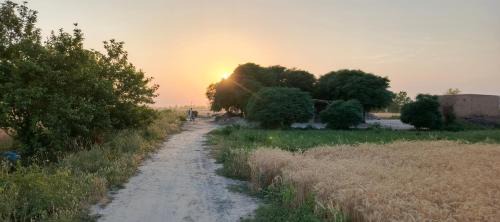 Punjab Apartment | Traditional Village Farm Stay Nature & Peace in desi food